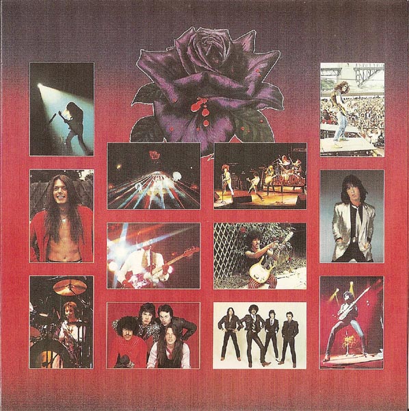 LP Inner Sleeve (other side), Thin Lizzy - Black Rose